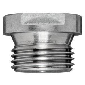 Metal threaded plug with a wide hexagonal top and screw threads below.