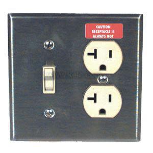 Stainless plate featuring two receptacles and a lever style switch.