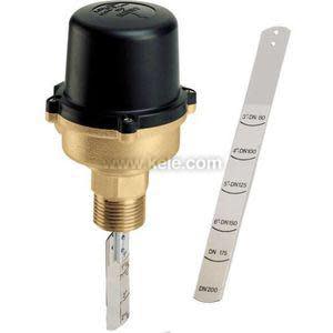 Brass flow switch with threaded connection, black plastic cap and removable stainless paddle with engraved markings.
