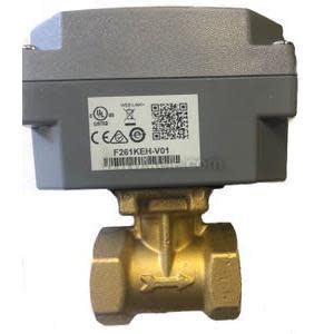 Silver metal body with a removable brass paddle and adjustable setpoint screw