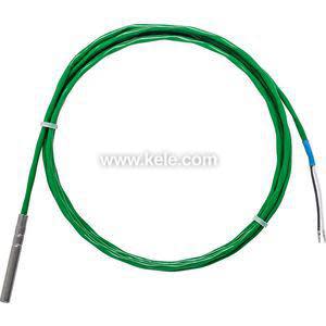 Long green cable with small stainless sensor at end.