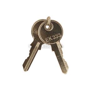 A close-up image of two shiny brass keys connected by a small looped key ring; one key has 'EK333' stamped on its rounded head, both resting against a white background