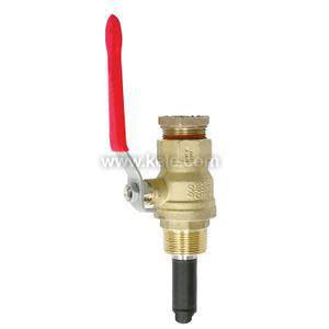 Brass valve with red handle and black test port.