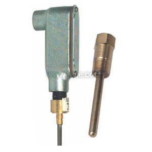 An industrial temperature sensor assembly comprising a right‑angle metal head attached to a slim probe, shown alongside a separate threaded brass thermowell