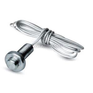 Short brass temperature probe with male threads and attached white leads.