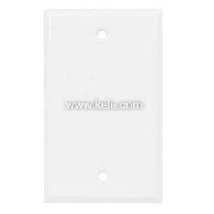 A rectangular white plate with a hole at the top and bottom for screws, used to cover an opening on a wall.