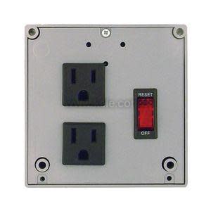 Rectangular panel with two electrical sockets and small push-button reset.