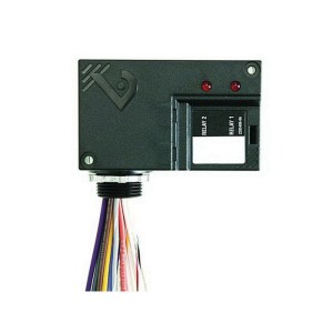 Small black dual relay with two red LEDs and wires