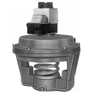 Black pneumatic actuator with exposed spring