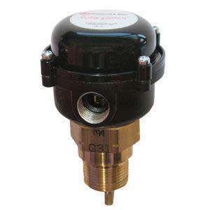 Brass flow switch with black plastic top and threaded pipe connection.