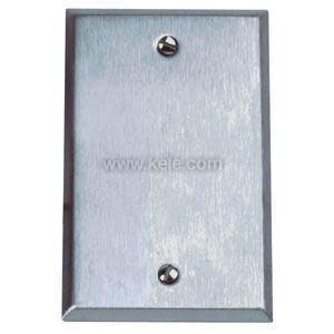 Shiny rectangular metal plate with two countersunk mounting holes