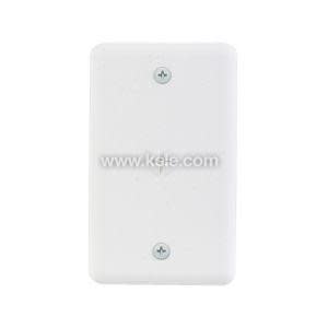 Plain white rectangular wall plate with holes at top and bottom for mounting screws