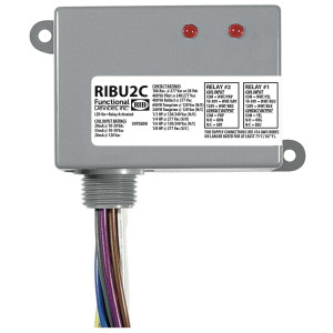 Grey relay box labeled RIBU2C with two red indicator lights and a bundle of colored wires exiting