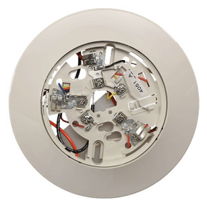 Round white base with central socket and wiring terminals